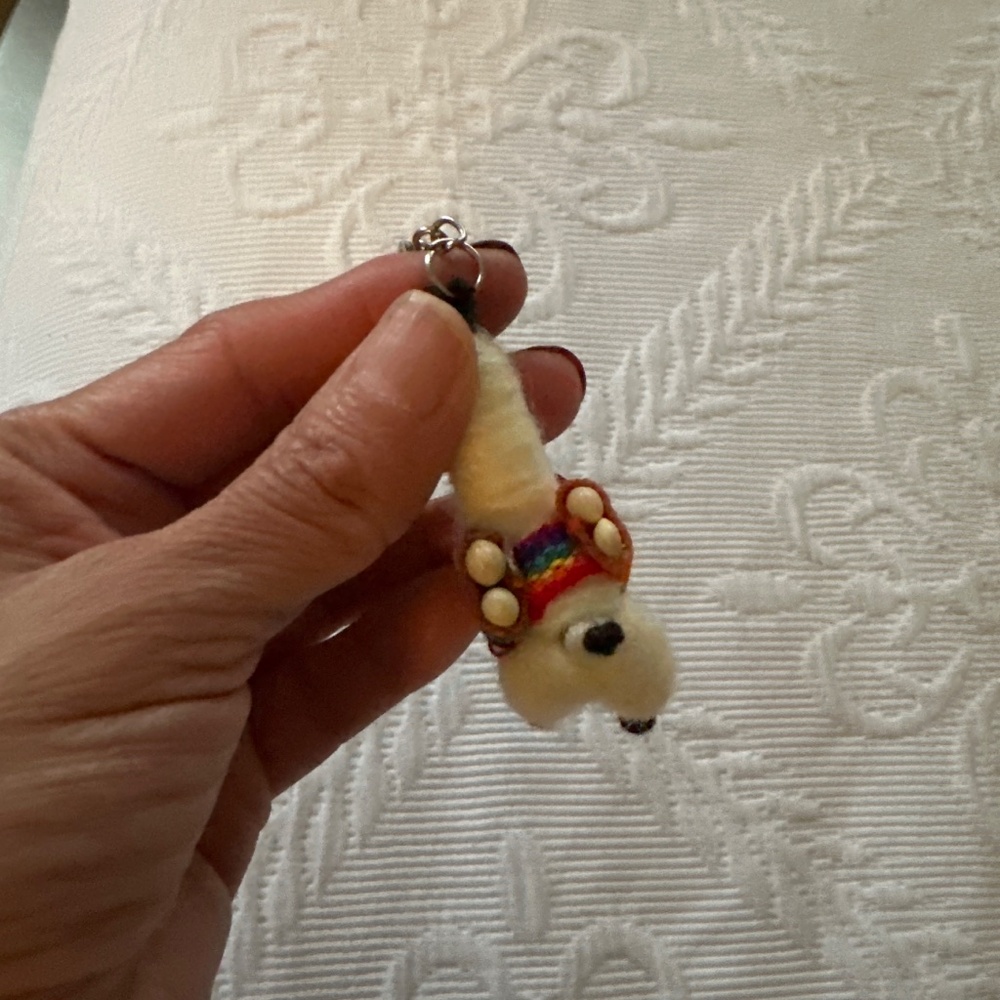 Keychain - Picture 3 of 3